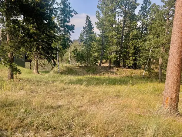 Lot 4 block 3 Lantern Lane, Lead, SD 57754