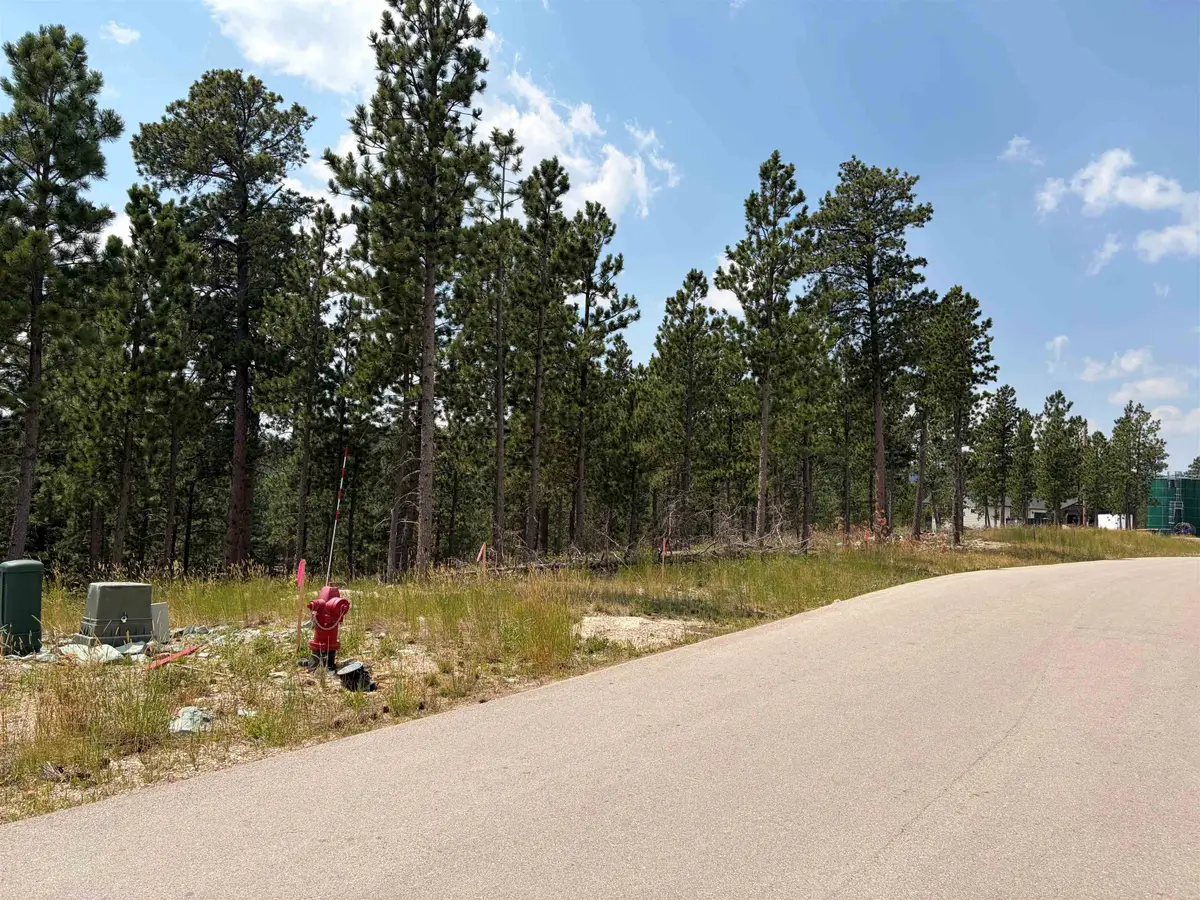 Lot 5 Block 9 Overlook Pass, Lead, SD 57754 - #1