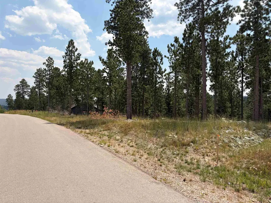 Lot 5 Block 9 Overlook Pass, Lead, SD 57754 - #2