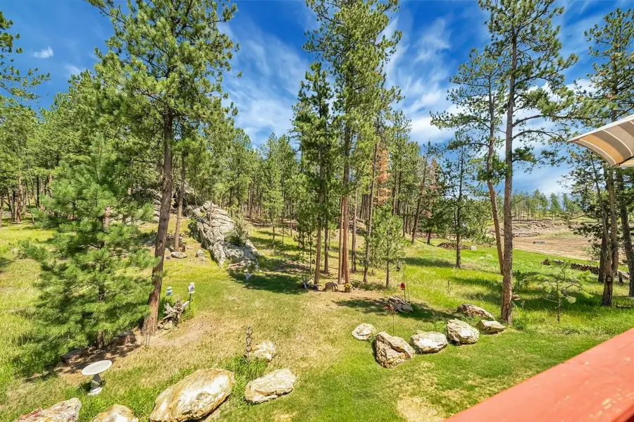 12344 Elk Valley Road, Custer, SD 57730 - #3