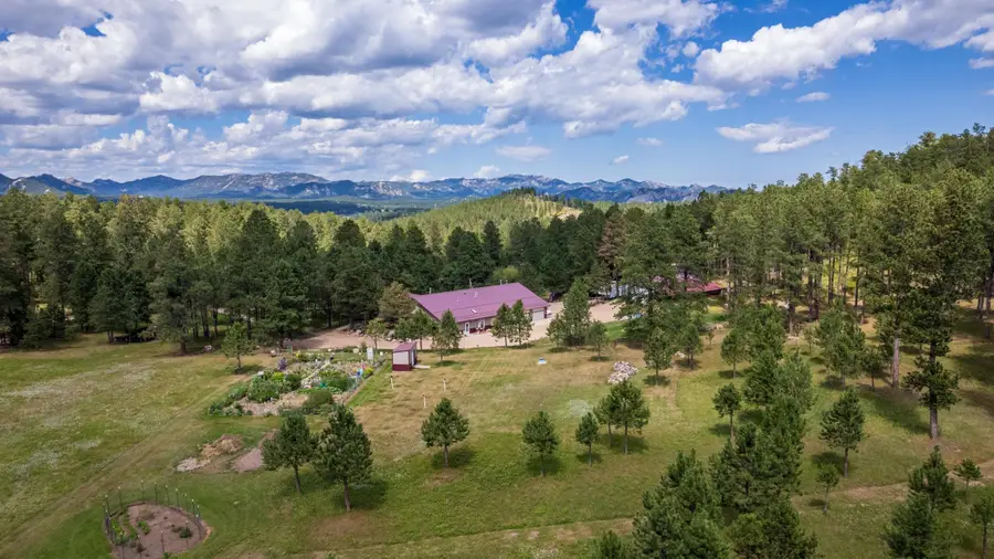 25246 Holiday Trail, Custer, SD 57730 - #2