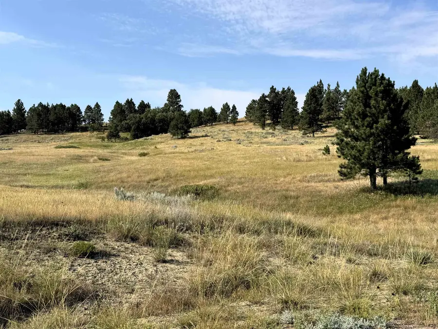 Tract 14 Soaring Eagle Road, Hulett, WY 82720 - #2