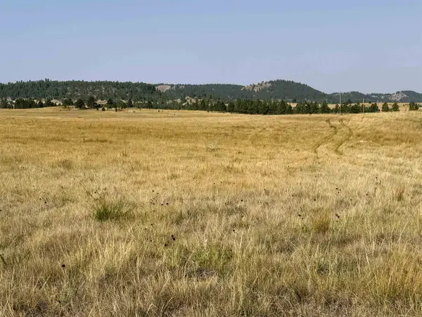 Tract 17 Black Bear Road, Hulett, WY 82720