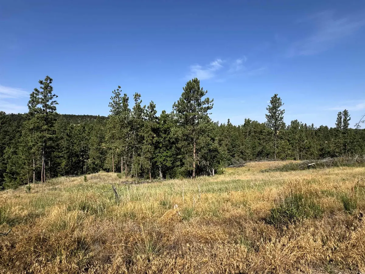 Tract 12 Black Bear Road, Hulett, WY 82720 - #1