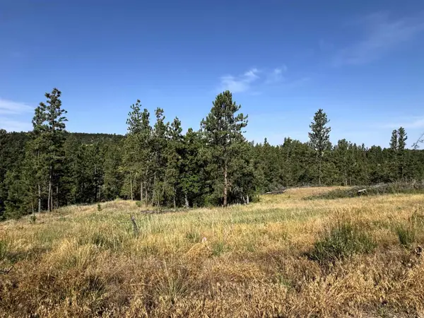 Tract 12 Black Bear Road, Hulett, WY 82720