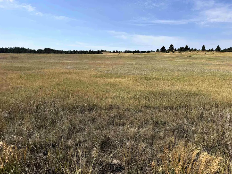 Tract 12 Black Bear Road, Hulett, WY 82720 - #2