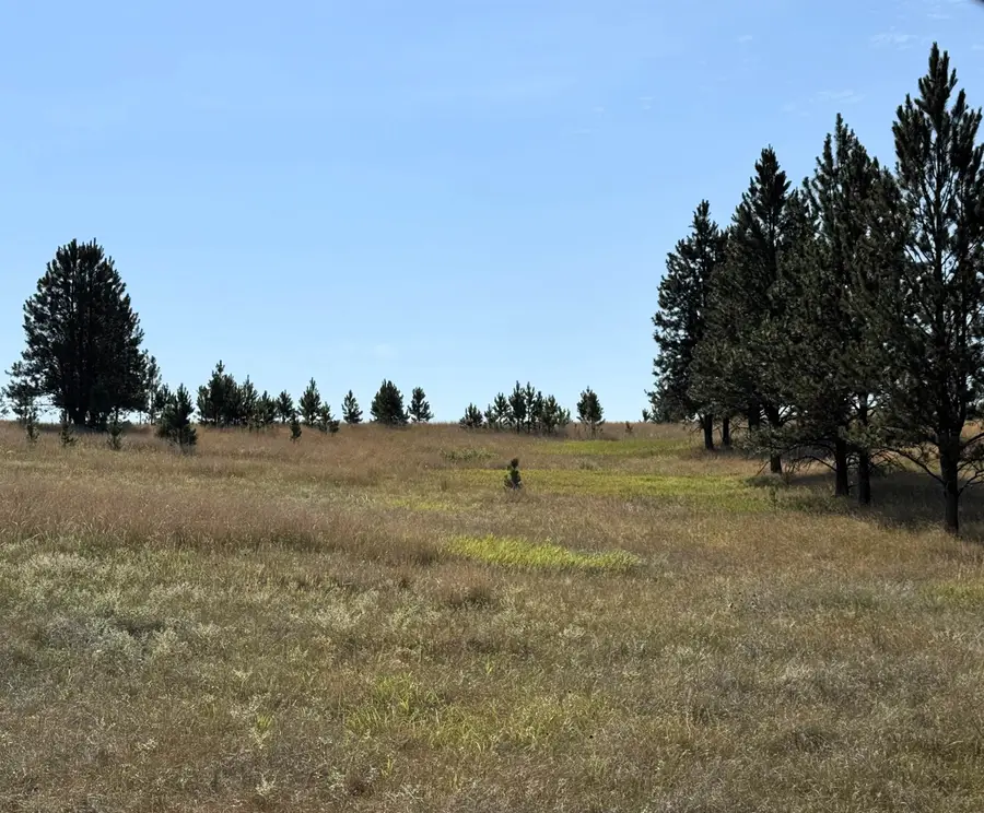 Tract 12 Black Bear Road, Hulett, WY 82720 - #3