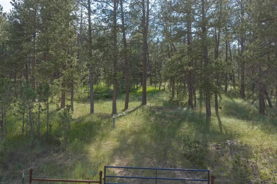 Tract 34 Mountain Lion Lane, Hot Springs, SD 57747 - #3