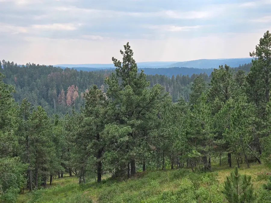 21262 Last Chance Trail, Lead, SD 57754 - #2