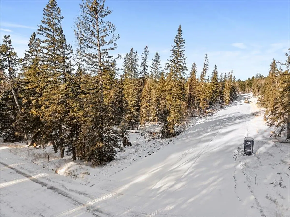 Lot 1 Block 1 Lost Camp Trail, Lead, SD 57754 - #1