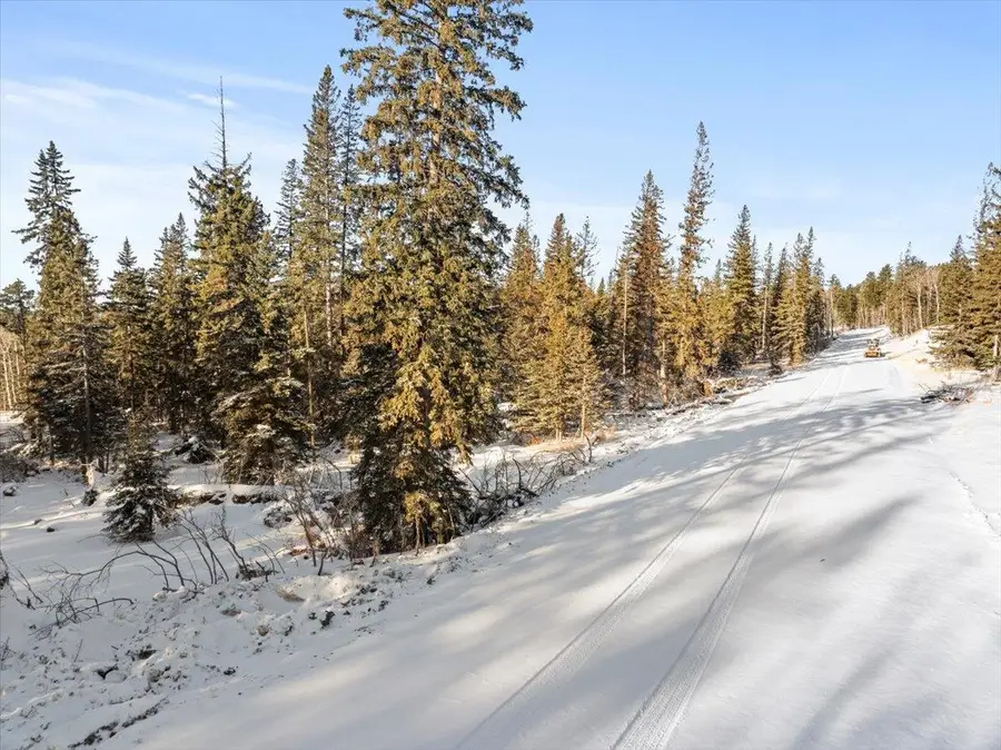 Lot 1 Block 1 Lost Camp Trail, Lead, SD 57754 - #2
