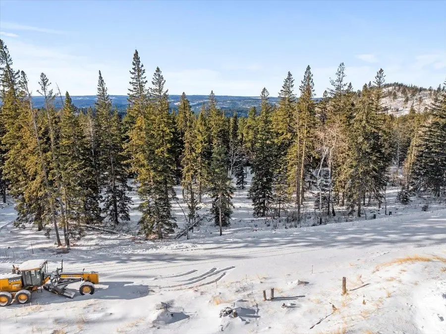 Lot 1 Block 1 Lost Camp Trail, Lead, SD 57754 - #3
