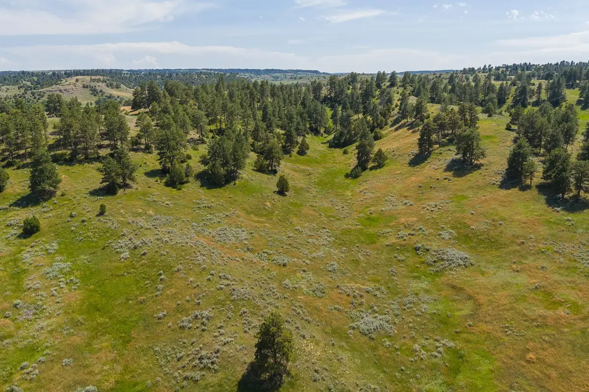 499 Government Canyon Rd, Hulett, WY 82720 - #1