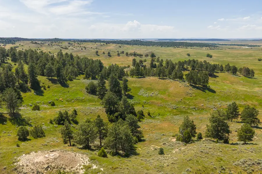 499 Government Canyon Rd, Hulett, WY 82720 - #2