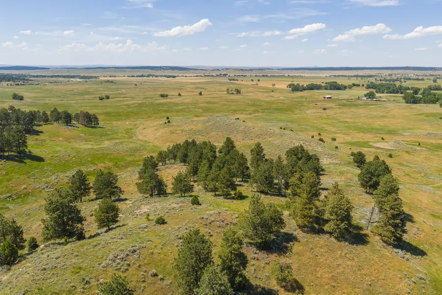 499 Government Canyon Rd, Hulett, WY 82720 - #3