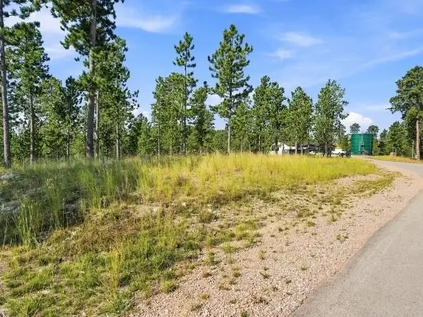 TBD NE Overlook Pass, Lead, SD 57754