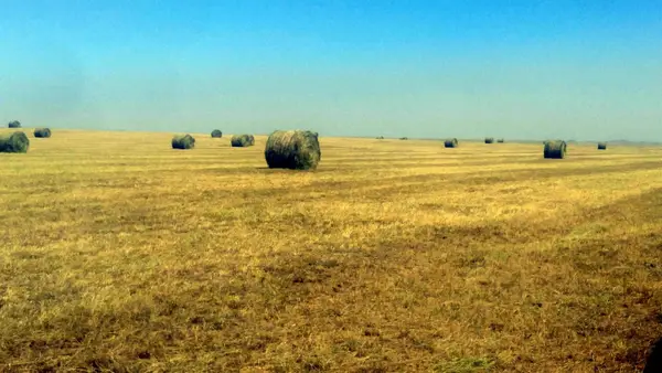 Address Withheld By Seller, Newell, SD 57760