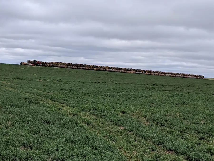 Address Withheld By Seller, Newell, SD 57760 - #2