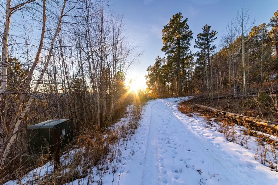 Lot 10 Wapiti Road, Lead, SD 57754 - #2