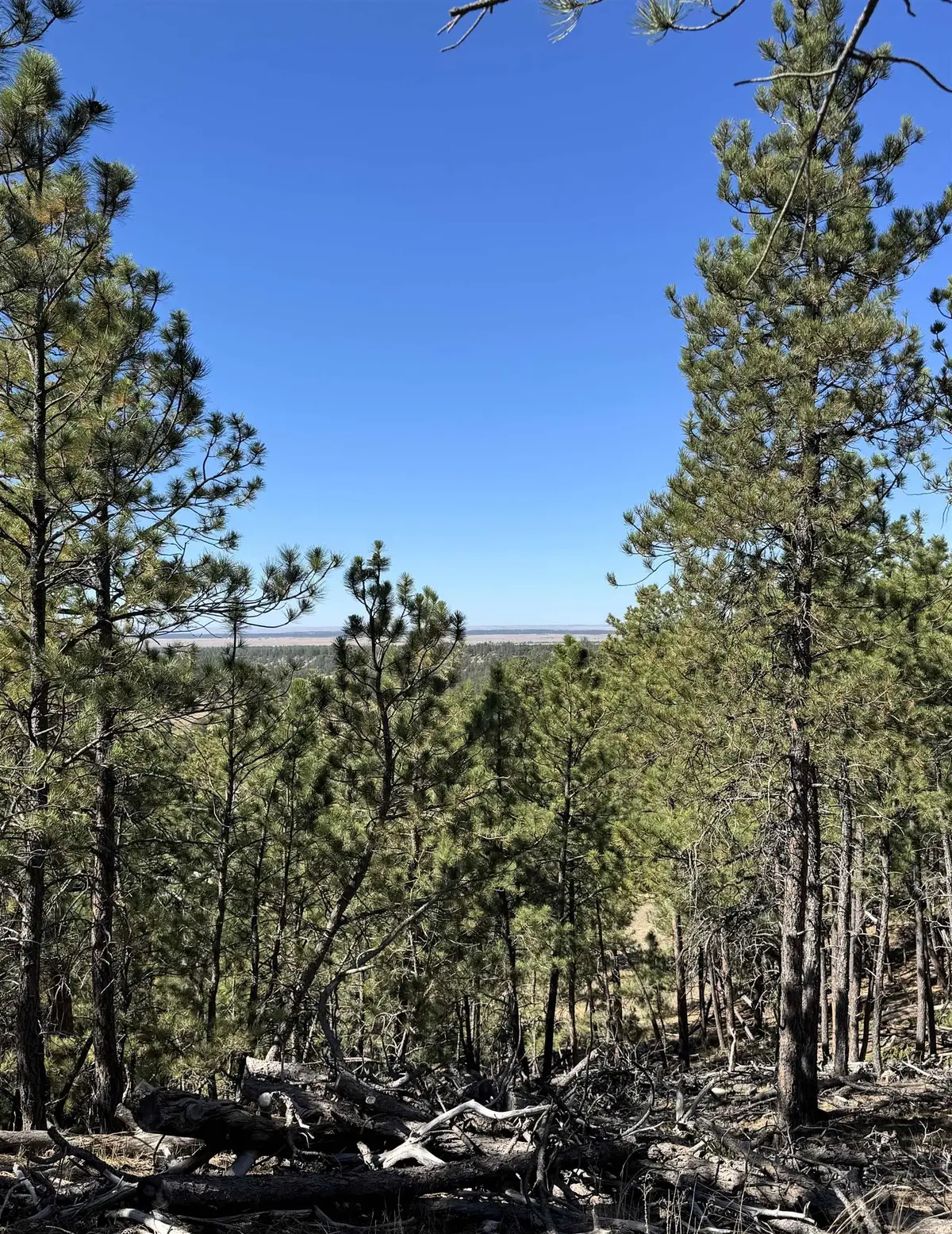 275 Remington Road, Sundance, WY 82729 - #1