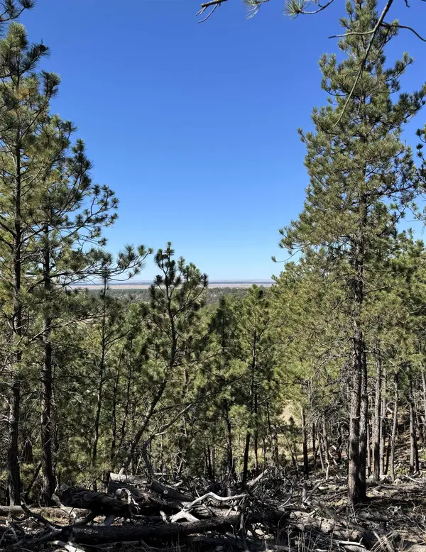 275 Remington Road, Sundance, WY 82729