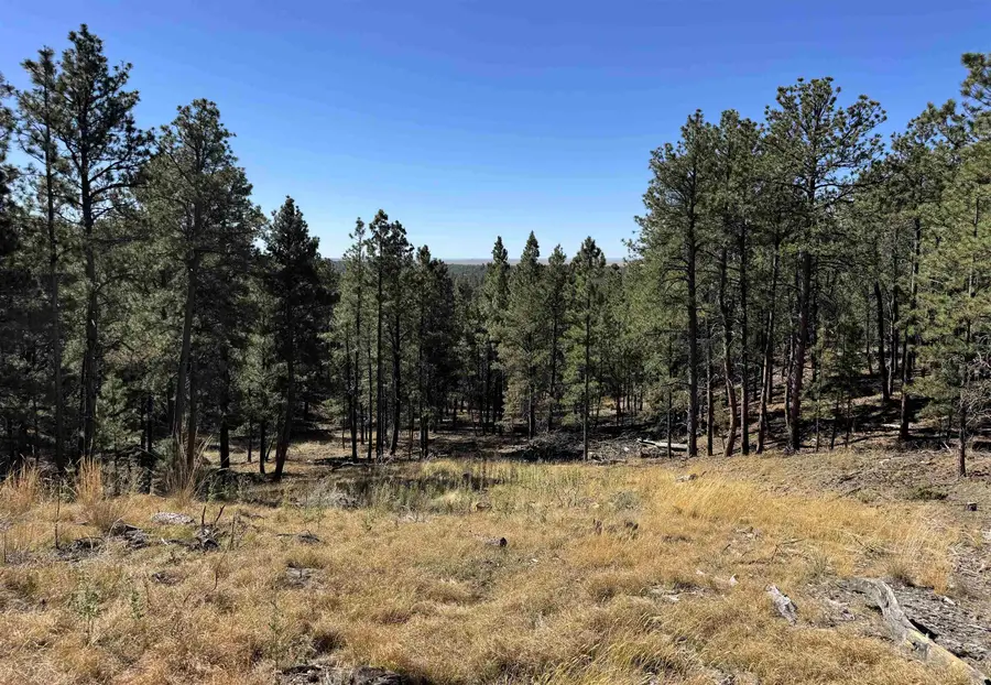 275 Remington Road, Sundance, WY 82729 - #2