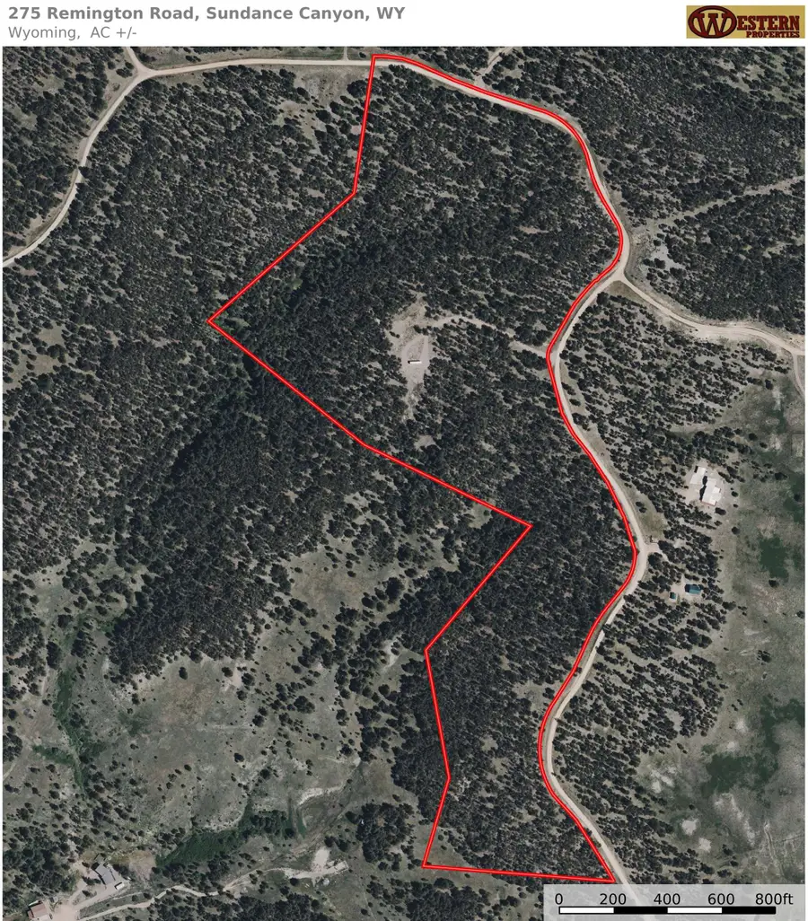 275 Remington Road, Sundance, WY 82729 - #3