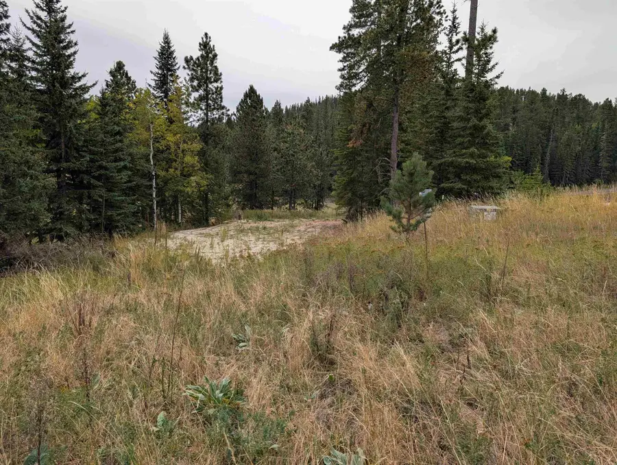 21606 Ginty Court, Lead, SD 57754 - #2
