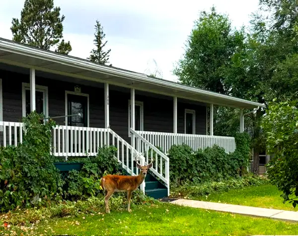 308 E Thompson, Sundance, WY 82729
