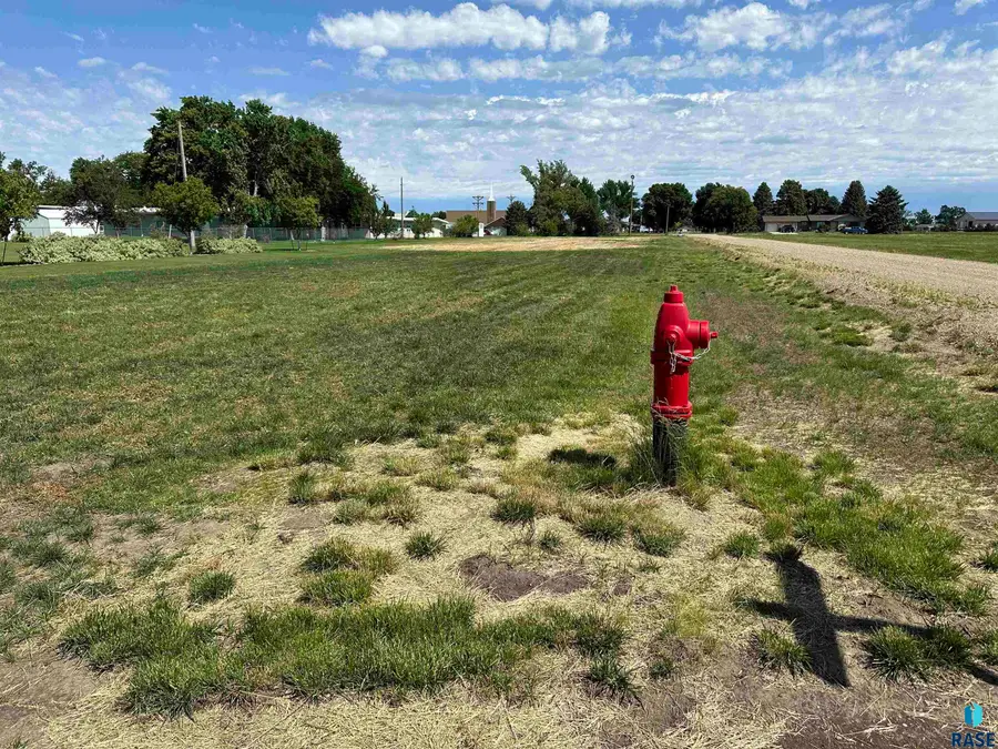 Alfalfa St, Menno, SD 57045 - #2