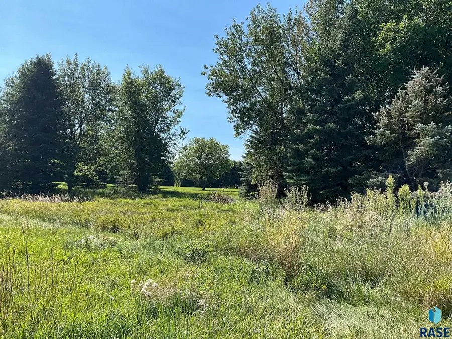 Country Club Dr, Madison, SD 57042 - #3