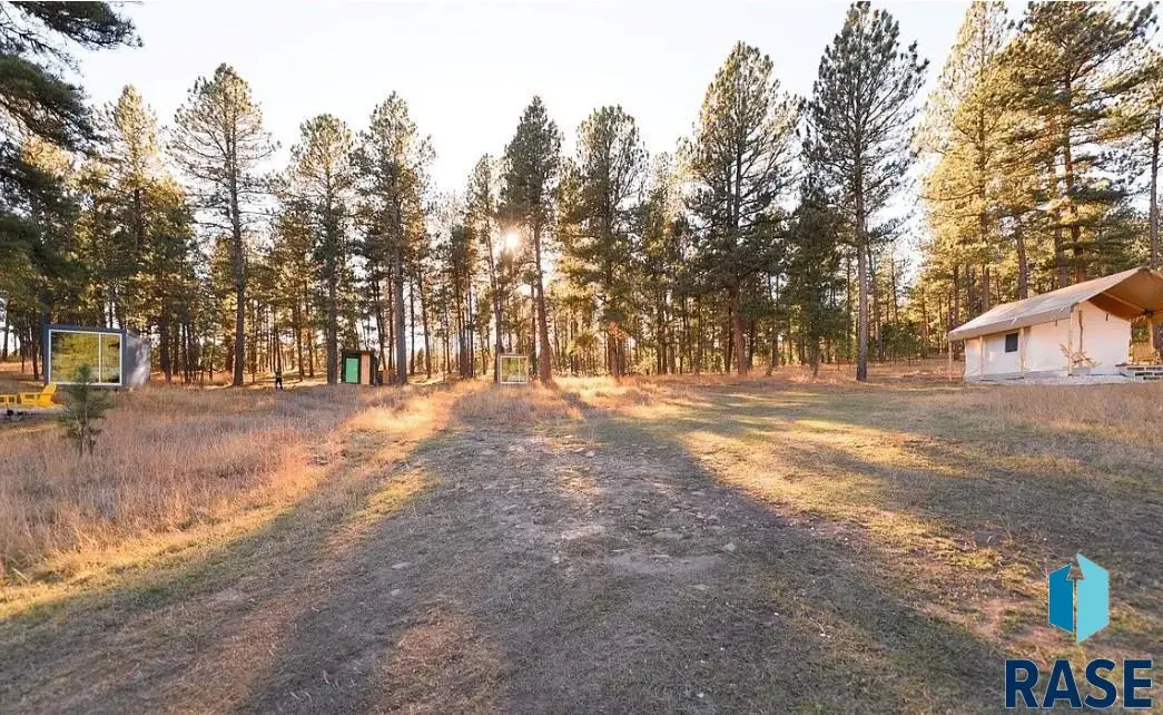 25741 Dakota Sur Dr, Custer, SD 57730 - #1