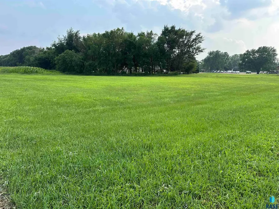 6th St, Freeman, SD 57029 - #2