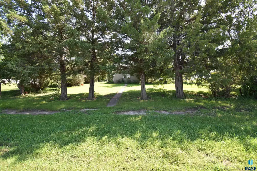 407 W Main St, Delmont, SD 57330 - #3