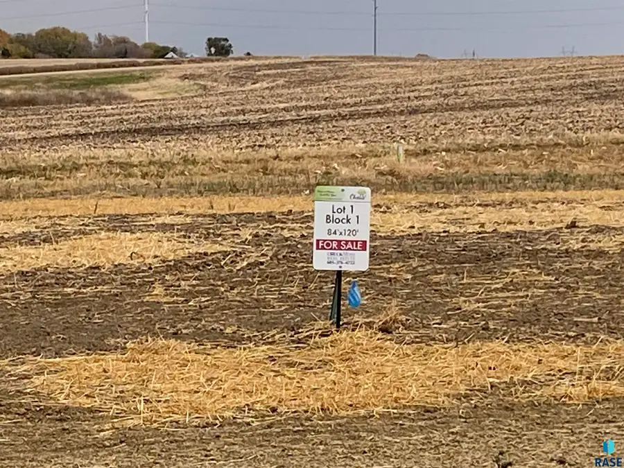 2500 E Chestnut Trl, Brandon, SD 57005 - #2