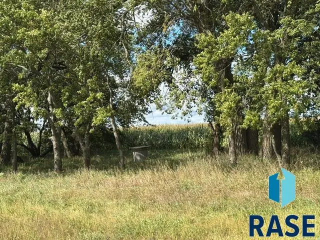 160th St, Florence, SD 57235 - #3