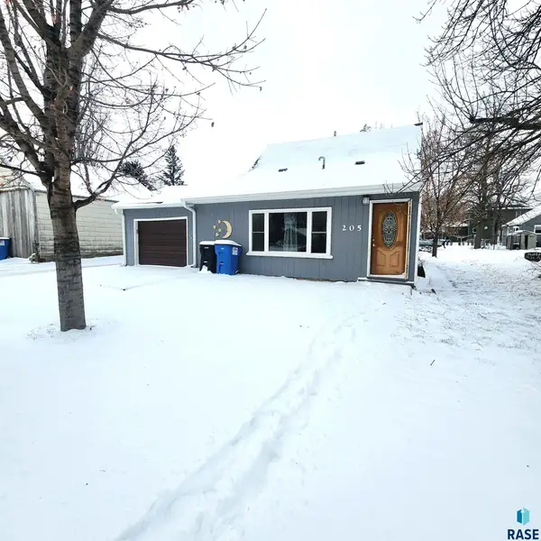 205 N Chestnut Ave, Parker, SD 57053