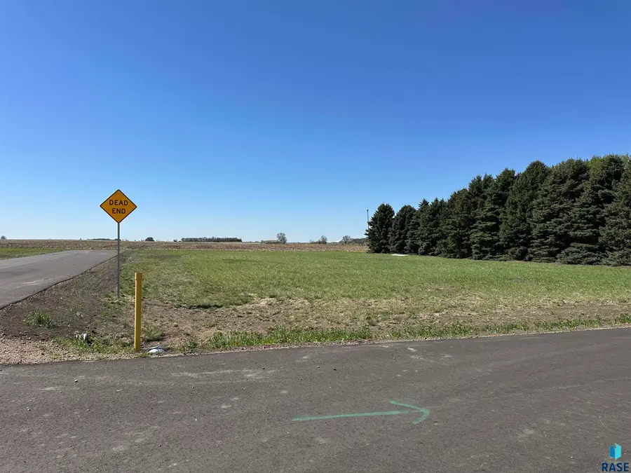 5 S Alfalfa St, Menno, SD 57045 - #3