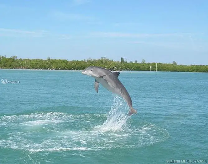 136 Lime Tree Park, Rotonda West, FL 33947 - Image #2