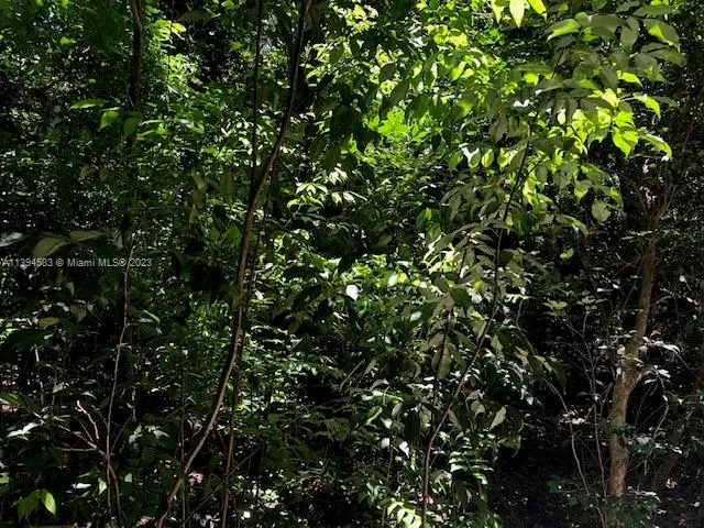 419 SE 9th St, Hallandale Beach, FL 33009 - #1