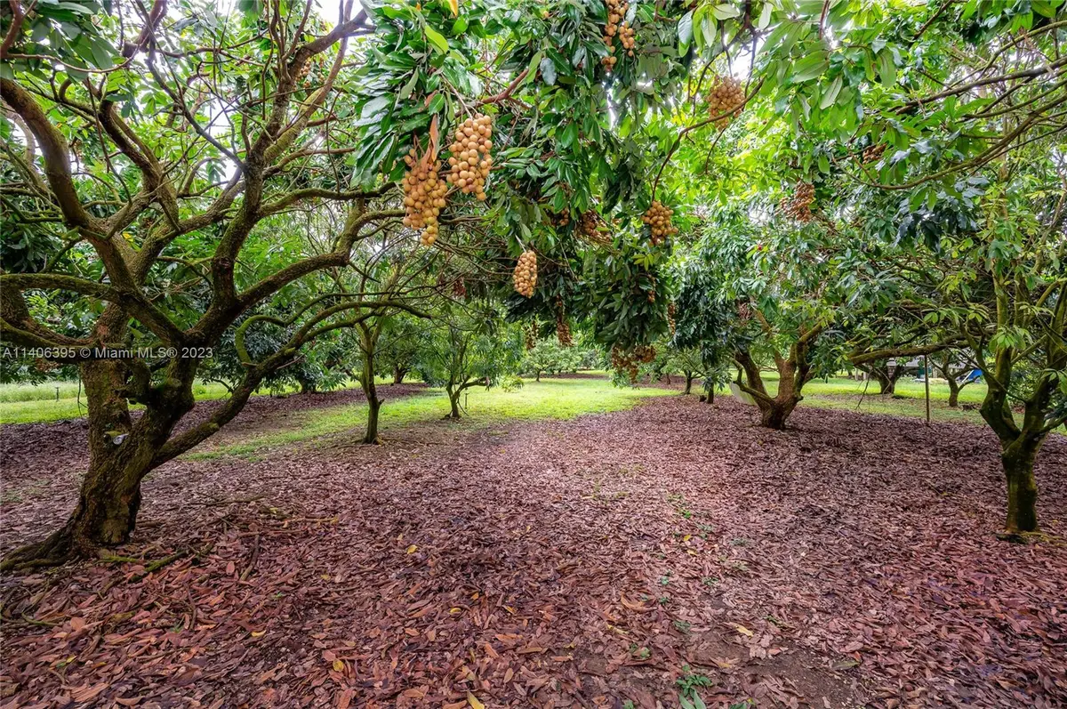 24350 SW 182nd Ave, Princeton Goulds, FL 33031 - Image #1