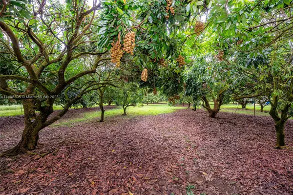 24350 SW 182nd Ave, Unincorporated Dade, FL 33031