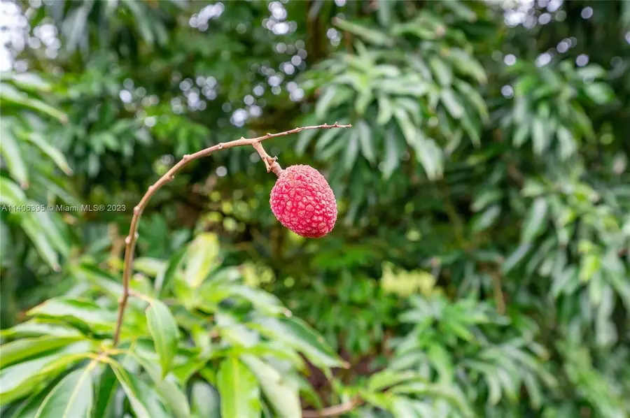 24350 SW 182nd Ave, Princeton Goulds, FL 33031 - Image #3