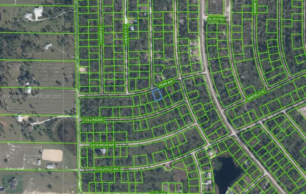 3238 Dean Avenue, Lake Placid, FL 33852