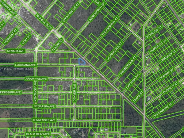 532 Nichele Boulevard, Lake Placid, FL 33852