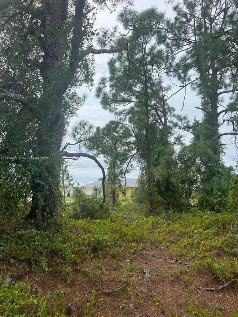 2506 35th St Sw, Lehigh Acres, FL 33976 - Image #2