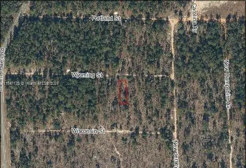 107 Wyoming St, Interlachen Florahome, FL 32640 - #1
