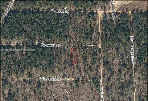 105 Wyoming St, Interlachen Florahome, FL 32640 - #1