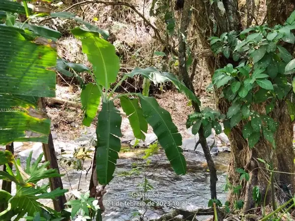 no # Puente De Piedra Y Tacares Alajuela Grecia C R, ,, CO 