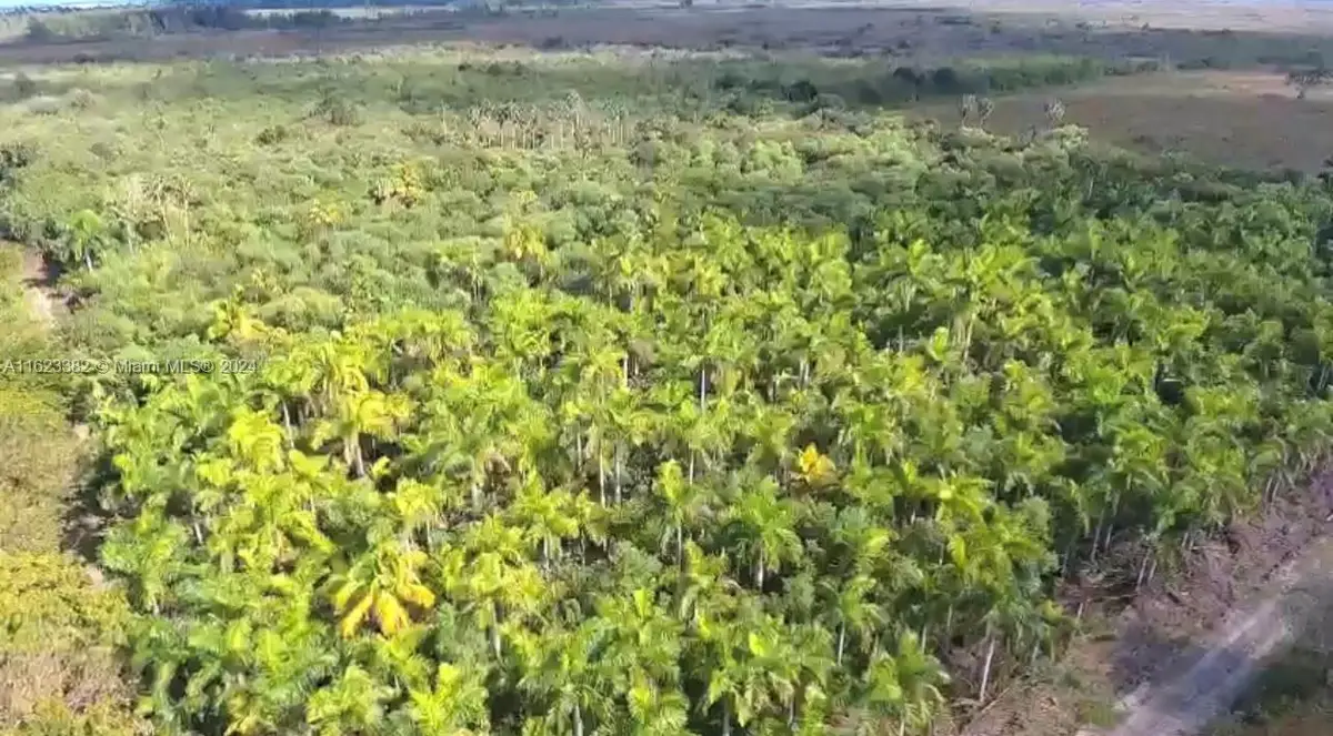 Outside Urban, Florida City, FL 33034 - Image #1